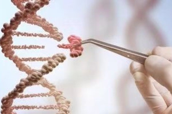 Unlocking the Power of CRISPR Knockout: Revolutionizing Genetic Research
