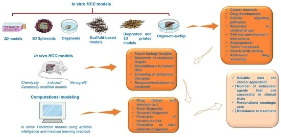 A Deep Dive into Huh7 and HepG2 Cell Lines: Essential Models in Liver Cancer Research