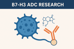 B7H3-ADC-research
