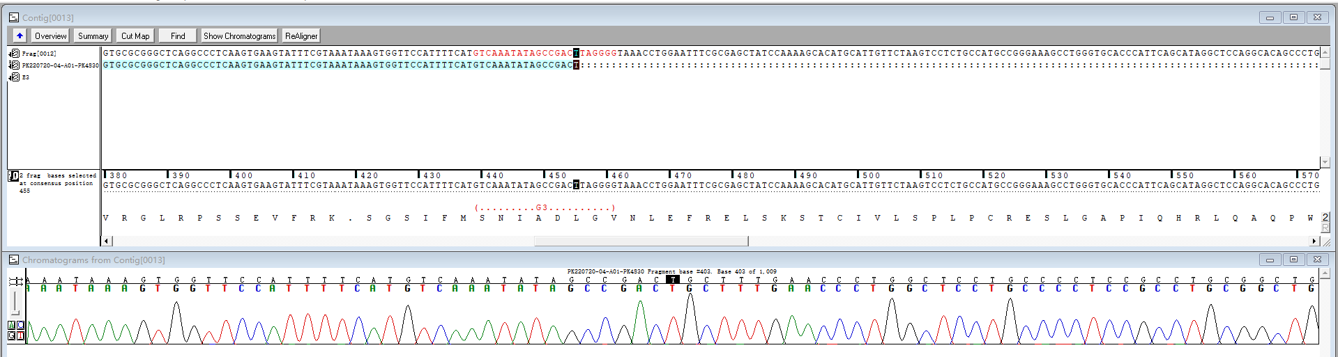 GAL Knockout Sanger Sequencing Validation